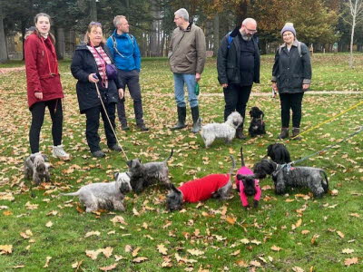 51112997-9410-4587-9aea-fac5de226fa1