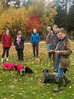 ae1dd1fd-5fe9-4ff8-93ae-e6723760da88